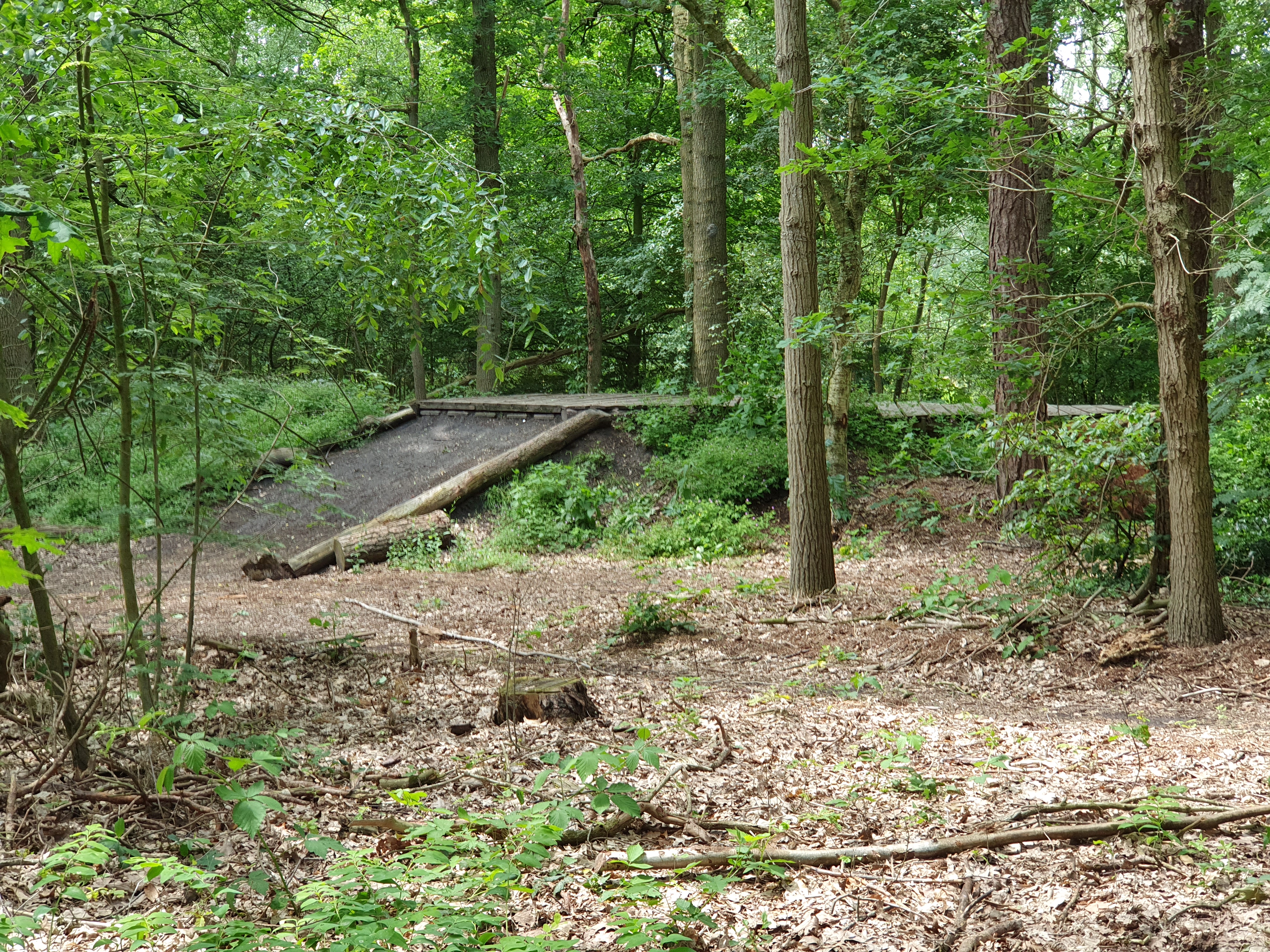 Mountainbike parkour - Camping de Eekhoorn
