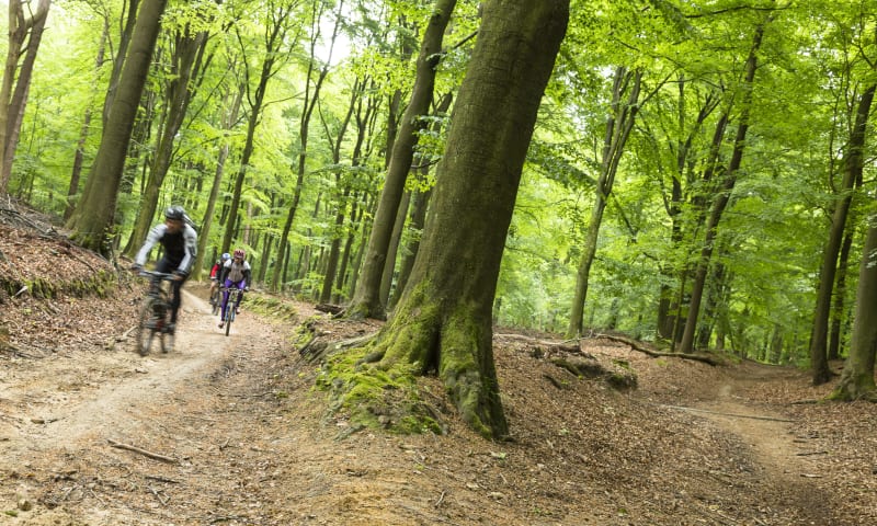 Mountainbikepad - Camping de Eekhoorn