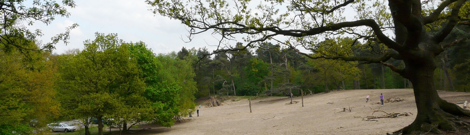 Seterse Bergen - Camping de Eekhoorn