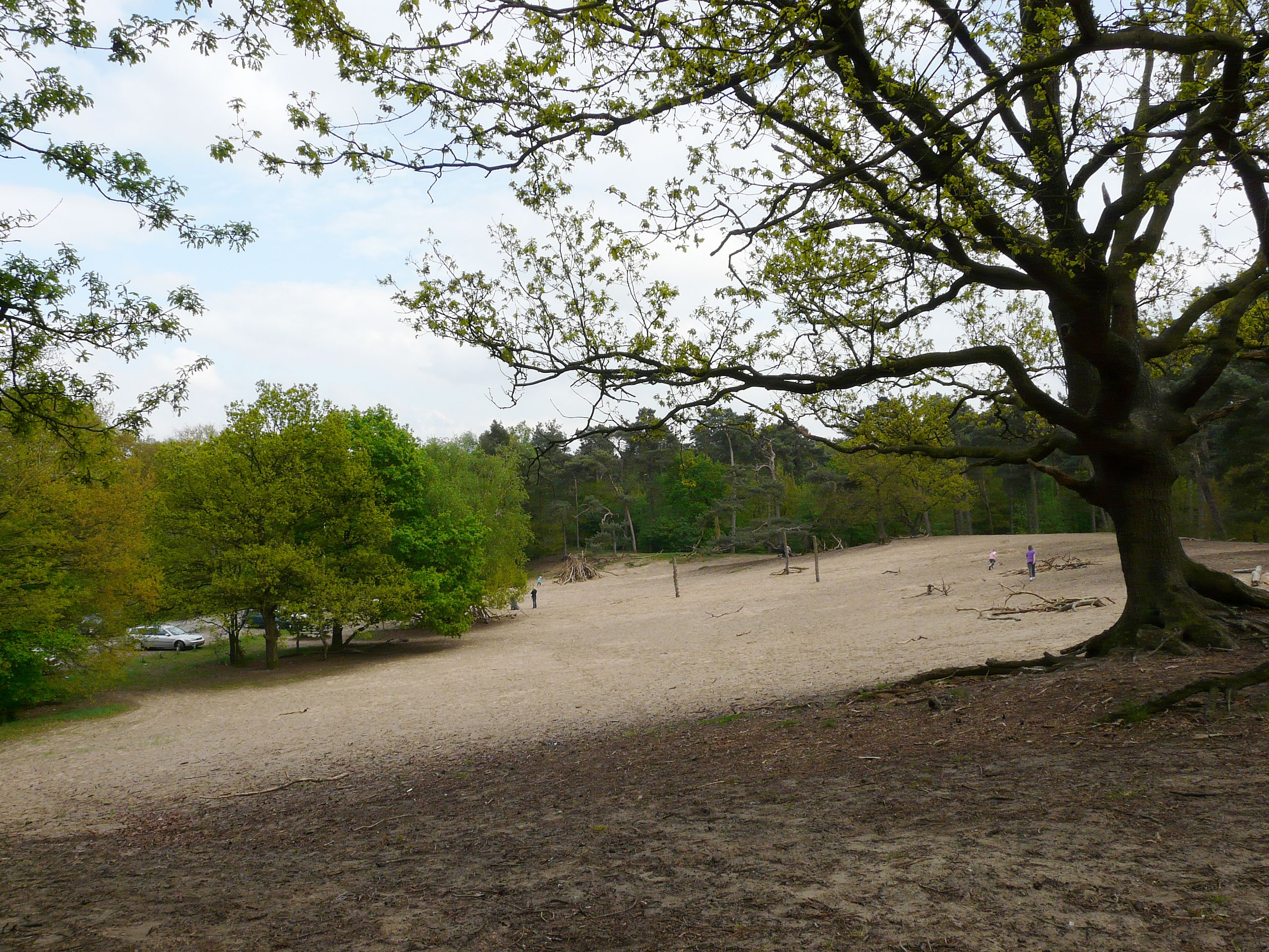 Seterse Bergen - Camping de Eekhoorn